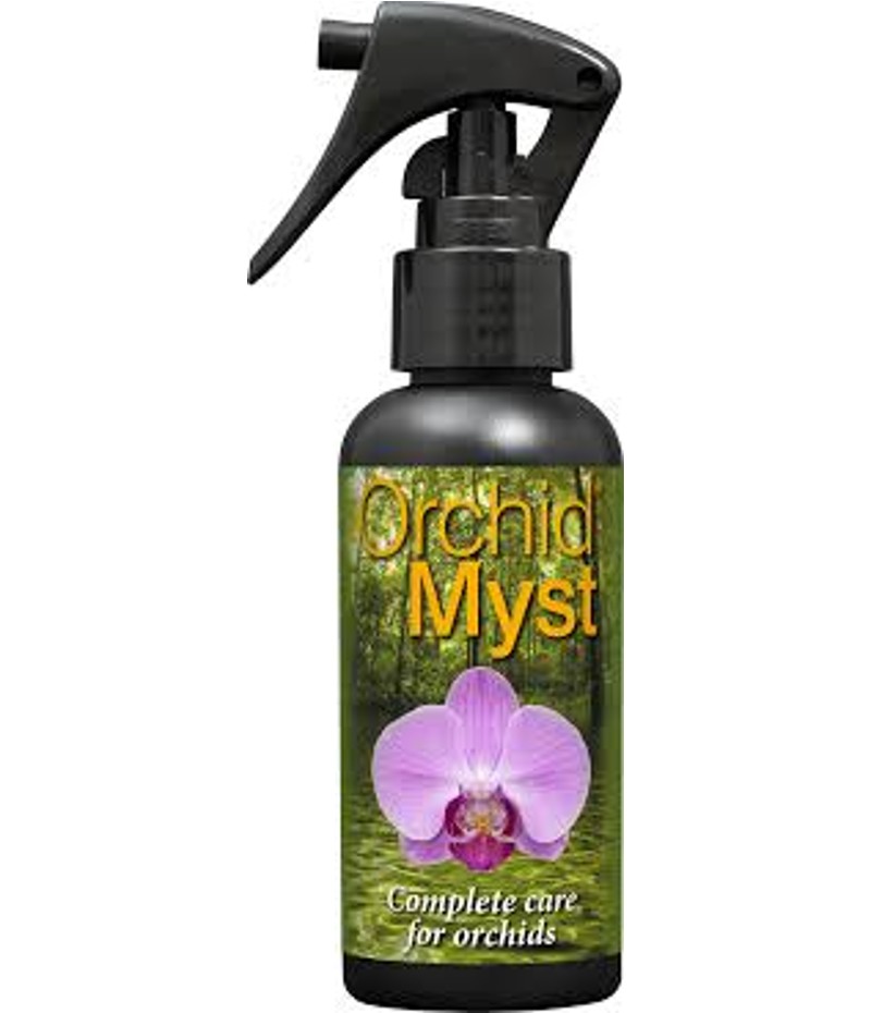 Focus Orchid myst