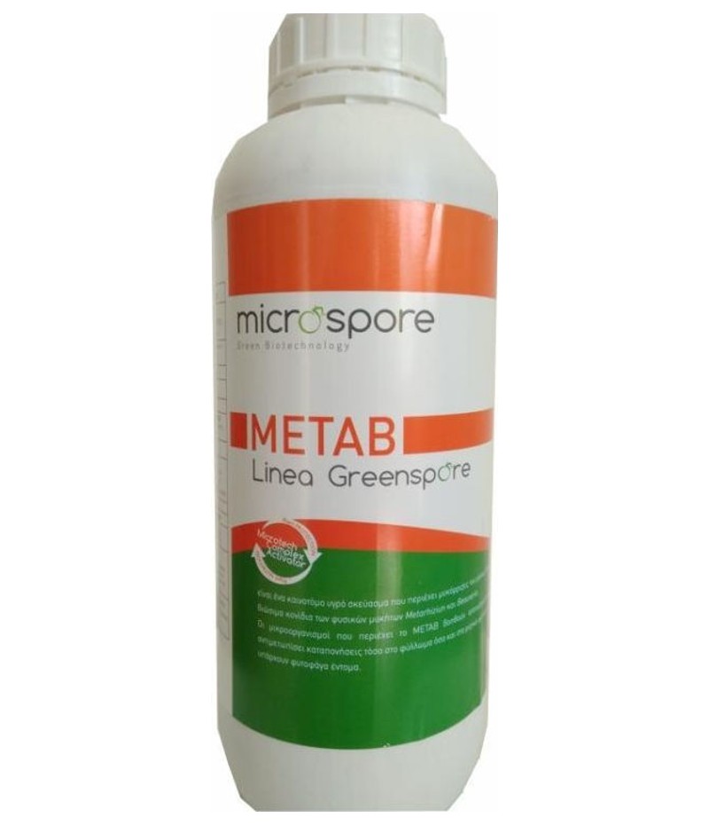 Microspore Metab